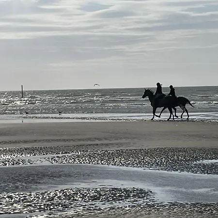 Apartman Exclusieve Duplex 'het Zeegerucht' Nabij En Zee - *